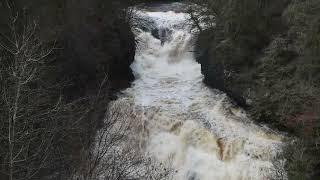 Corra Linn waterfalls - Falls of Clyde