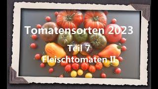 Tomatensorten 2023 Teil 7 - Fleischtomaten II