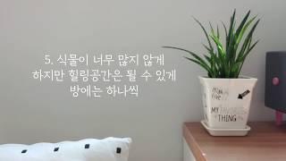 미니멀라이프(Eng)가구를 비운 공간 탈바꿈. 식물 인테리어로 힐링공간 만들기. Home plants.