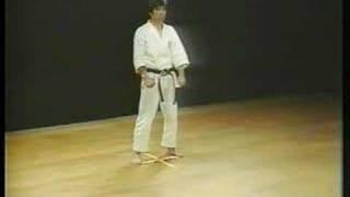 Heian Sandan - Shotokan Karate