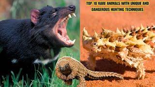 Top 10 Rare Animals with Unique and Dangerous Hunting Techniques | #animal |#Dangerous