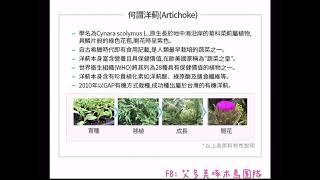 ［產品］艾多美洋薊膠囊