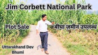 Jim Corbett National Park | Bigha Zameen available | plot sale #realestate #uttarakhand