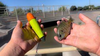 Urban CANAL Fishing with LIVE BLUEGILL Under a Bobber! (Unbelievable)