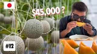 I Tried World's Most Expensive FRUIT in JAPAN  | EP 12 - THE KING OF MELONS