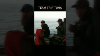 DENGAN TEAM TRIP TUNA #shorts #mancing #mancingmania