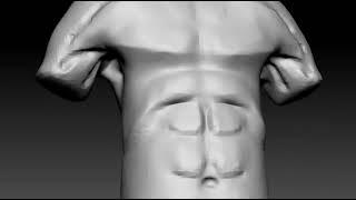 Torso Study