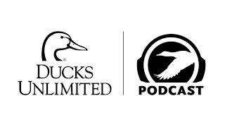 Ep. 398 – Species Profile: Black-bellied Whistling Duck