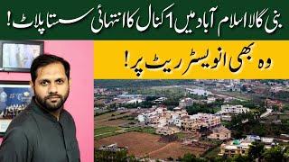 Bani Gala Islamabad | 1 Kanal Plot For Sale in Bani Gala | Cheapest Investment Opportunity | 2024