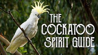 Cockatoo Spirit Guide - Ask the Spirit Guides Oracle, Totem Animal, Power Animal, Magical Crafting