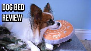 Dog Bed Review (With Bloopers) / Percy the Papillon