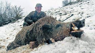 Wild Boar hunting in Tajikistan with ProfiHunt