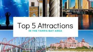 Top 5 Attractions In the Tampa Bay Area