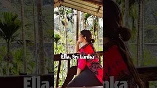 Sri Lanka’s Most Scenic Route? Ella to Mirissa