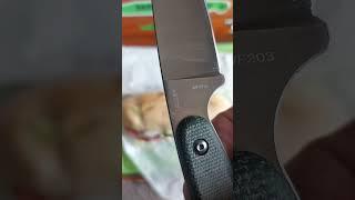 HAVING LUNCH WITH MY WATCHMAN WF203 FIXED BLADE #subsandwich #food #foodpreparation #review #sub