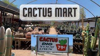 Cactus Mart Plant Shopping | Dig Your Own Cactus