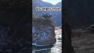 세개의 달이 뜬다고~?? #월류봉 #충북여행#영동군#관광여행지