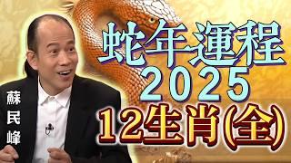 蘇民峰講解 2025 蛇年生肖運程