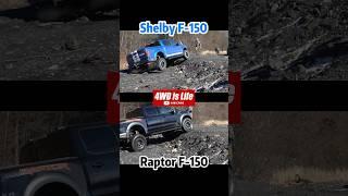 Ford F150 Shelby vs Raptor - Offroad comparison suspension flex test #offroad #shelbyf150 #raptor