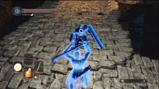 Dark souls 2 - Royal sentinel duels