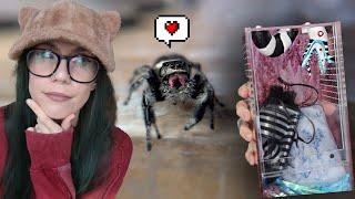 A MASSIVE JUMPING SPIDER SUPPLIES UNBOXING & REVIEW!.. Once Upon A Spood