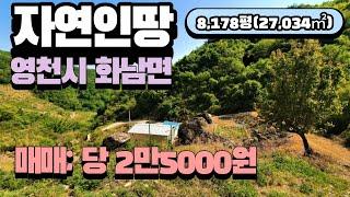 영천시 화남면에 위치한 경치좋은 영천토지 매매 : 당2만5000원