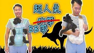 去街街神器?! 韓式袋鼠BB揹帶 vs 日式BB斜揹帶  | TODBI Hidden 360 vs Betta Carry Me! Plus｜靚媽媽生BB Ep5