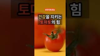 #토마토 #토마토건강 #매일먹으면 #건강 #건강정보 #건강관리 #다이어트