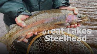 EPIC Day of Steelhead Fishing!