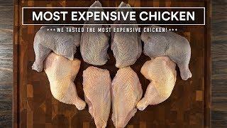 We tasted the MOST EXPENSIVE CHICKEN I could find!