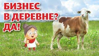 Чем ЗАНИМАТЬСЯ в ДЕРЕВНЕ? Катумские овцы! Одни плюсы и никаких минусов!