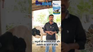 bovine pregnancy test kit #dairyfarming #dairyfarm #pashupalan