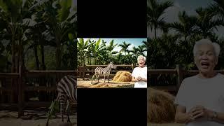 Ông lão và Capybara - Capy trông nồi cơm #veo3 #viral #viralvideo #viralshorts