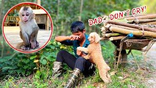 Playful Sushi gets lost when his Dad goes into the forest to chop wood to prepare for winter