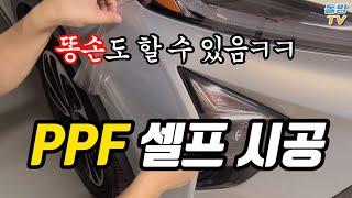 똥손인 저도 PPF 셀프 시공 했습니다! 핸드폰 액정필름 회사에서 자동차 보호 필름도 만드네요 [돌빙TV]