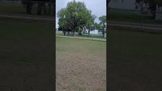 Revan the pitbull playing catch at the park