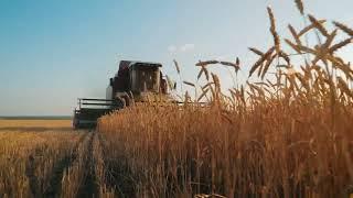 Global Grain Farming Market- Part 1