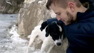 Pure Nature: Spot Explores Minnehaha Dog Park