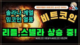 비트코인 실시간, 리플,스텔라루멘 상승! 솔라나 밈코인 계열 열풍 중! 11/18 점심#비트코인 #비트코인실시간 #이더리움 #리플 #cryptocurrency #차트분석