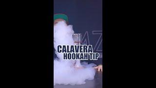 The DMZ Calavera Hookah Tip