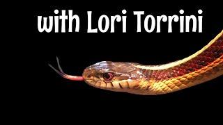 Myths about Reptile Behavior with Lori Torrini