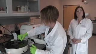Robarts Virtual Tour - Molecular Pathology