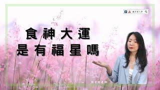 食神大運是有福星嗎 | 八字案例 | #林子玄說命理