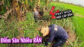 Săn Rắn BỘI THU | TGSB #1031