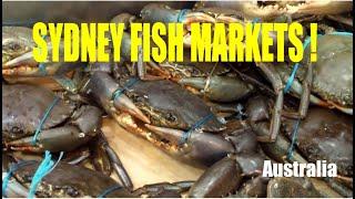 Fish Market in Sydney, Australia.
