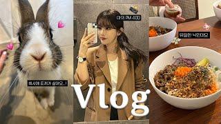 VLOG | 직장인 브이로그 | 가을 출근룩 | 간만에 올리브영 쇼핑 | 입터짐 방지템&속쓰림 달램템 추천(feat.구독자 이벤트) | 꾸준히 운동하기 | 일상 브이로그