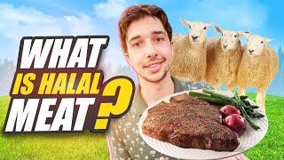 Whats does HALAL meat mean ?