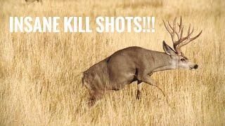 TOP 44 BEST HUNTING KILL SHOTS!! BOW AND RIFLE!