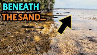 MASSIVE Low Tide Exposed a Hidden Goldmine of Treasure... Our BEST HUNT This Year?!