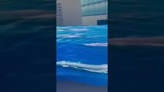  **Shenzhen Sinaiqi Technology Innovative Rental LED Screen Display**